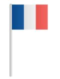 sample-image