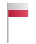 sample-image